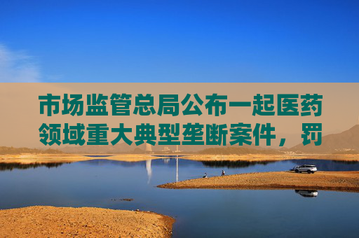 市场监管总局公布一起医药领域重大典型垄断案件，罚没3.62亿元