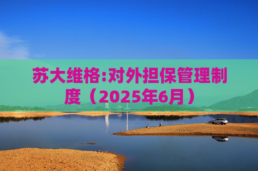 苏大维格:对外担保管理制度（2025年6月）