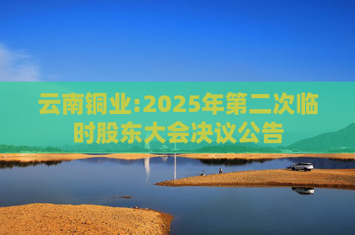 云南铜业:2025年第二次临时股东大会决议公告