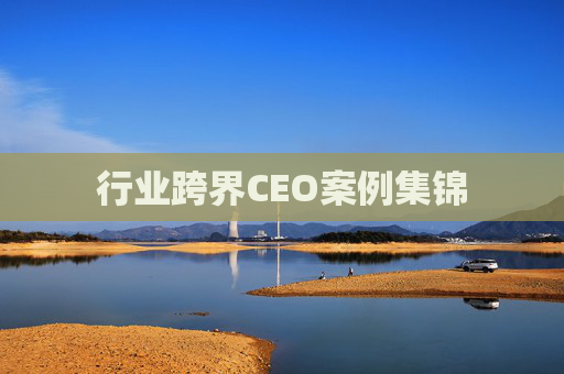 行业跨界CEO案例集锦
