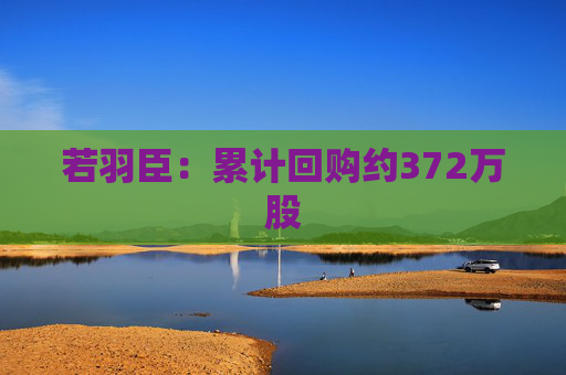 若羽臣：累计回购约372万股