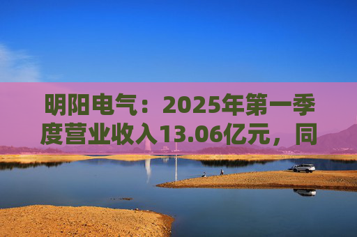明阳电气：2025年第一季度营业收入13.06亿元，同比增长26.21%  第1张