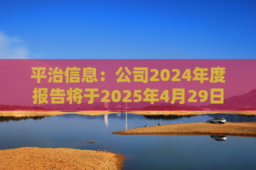 平治信息：公司2024年度报告将于2025年4月29日披露  第1张