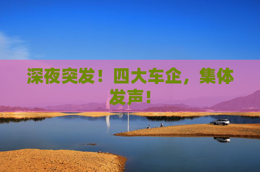 深夜突发！四大车企，集体发声！