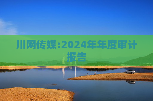 川网传媒:2024年年度审计报告  第1张