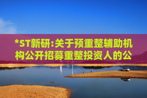 *ST新研:关于预重整辅助机构公开招募重整投资人的公告