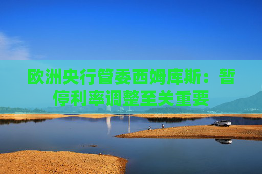 欧洲央行管委西姆库斯：暂停利率调整至关重要