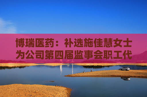 博瑞医药：补选施佳慧女士为公司第四届监事会职工代表监事  第1张