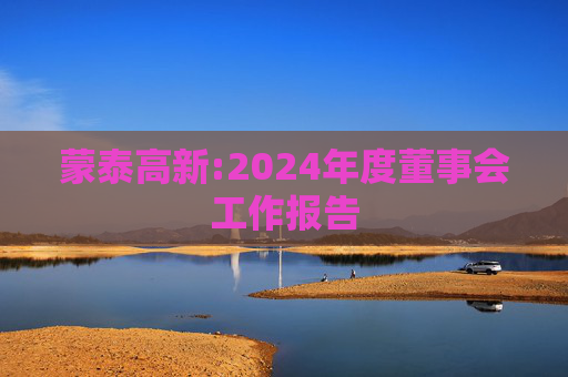 蒙泰高新:2024年度董事会工作报告