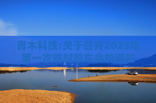 青木科技:关于召开2025年第一次临时股东会的通知