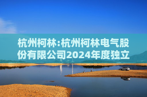 杭州柯林:杭州柯林电气股份有限公司2024年度独立董事述职报告(毛卫民)