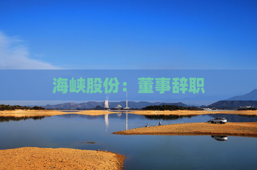 海峡股份：董事辞职  第1张