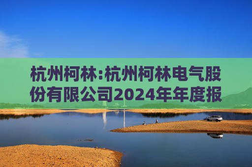杭州柯林:杭州柯林电气股份有限公司2024年年度报告