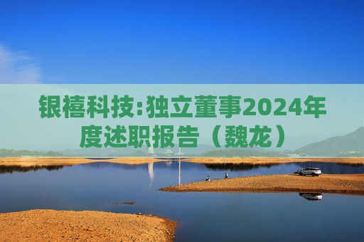 银禧科技:独立董事2024年度述职报告（魏龙）