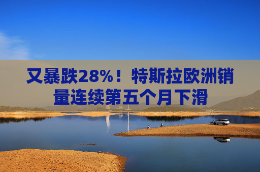又暴跌28%!特斯拉欧洲销量连续第五个月下滑 第1张 又暴跌28%!特斯拉欧洲销量连续第五个月下滑 第1张