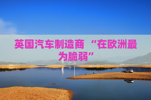 英国汽车制造商 “在欧洲最为脆弱”