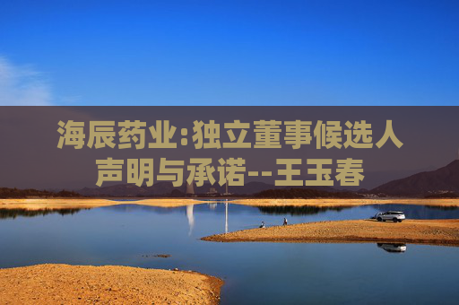 海辰药业:独立董事候选人声明与承诺--王玉春