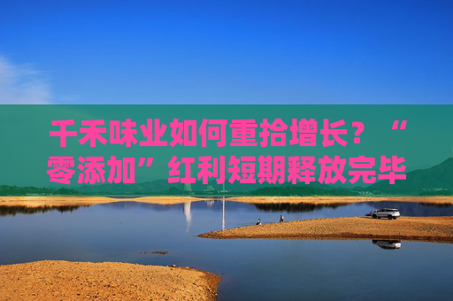 千禾味业如何重拾增长？“零添加”红利短期释放完毕 股价下跌控股股东融资参与的定增被套