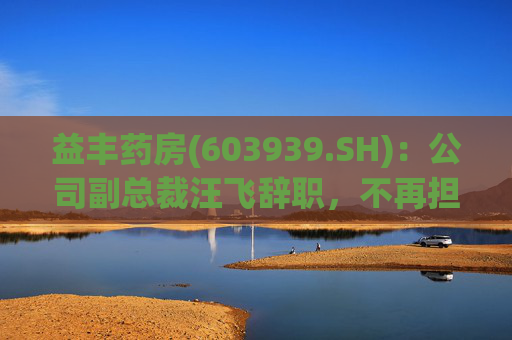 益丰药房(603939.SH):公司副总裁汪飞辞职,不再担任公司其他职务