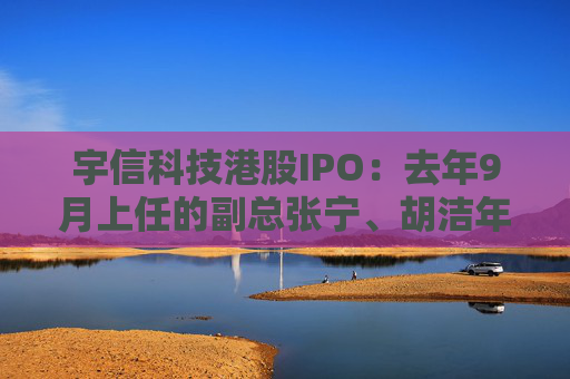 宇信科技港股IPO：去年9月上任的副总张宁、胡洁年薪百万，2015年上任的副总郑春年薪73.5万  第1张