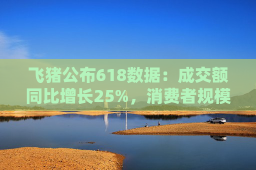 飞猪公布618数据:成交额同比增长25%,消费者规模增长约30%