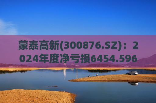 蒙泰高新(300876.SZ):2024年度净亏损6454.596万元 第1张 蒙泰高新(300876.SZ):2024年度净亏损6454.596万元 第1张