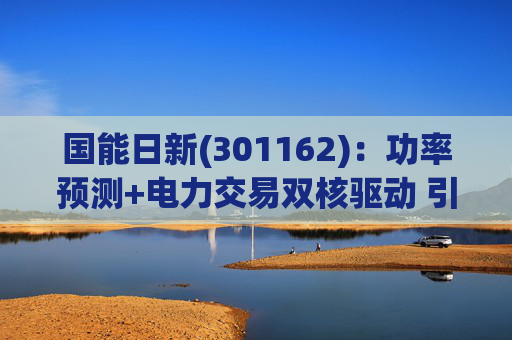 国能日新(301162)：功率预测+电力交易双核驱动 引领业绩持续高增长