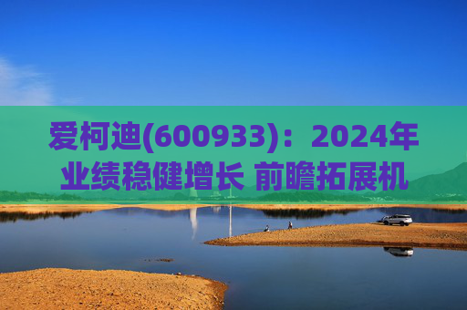 爱柯迪(600933)：2024年业绩稳健增长 前瞻拓展机器人相关业务