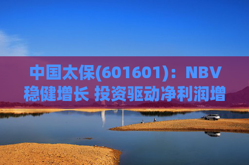 中国太保(601601)：NBV稳健增长 投资驱动净利润增速提升