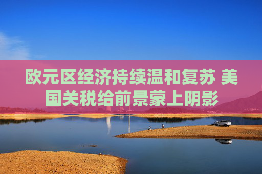 欧元区经济持续温和复苏 美国关税给前景蒙上阴影