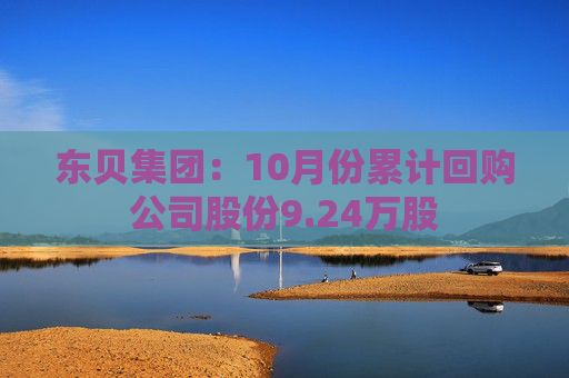 东贝集团：10月份累计回购公司股份9.24万股
