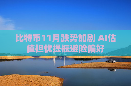 比特币11月跌势加剧 AI估值担忧提振避险偏好