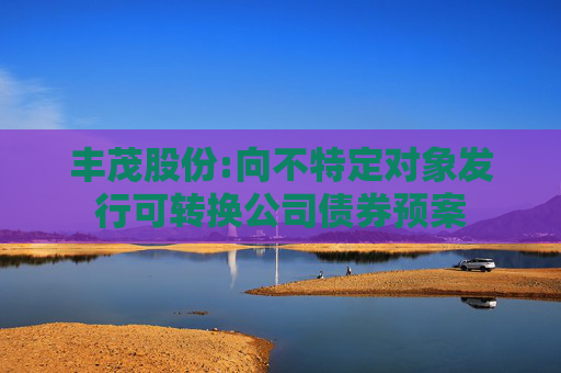 丰茂股份:向不特定对象发行可转换公司债券预案