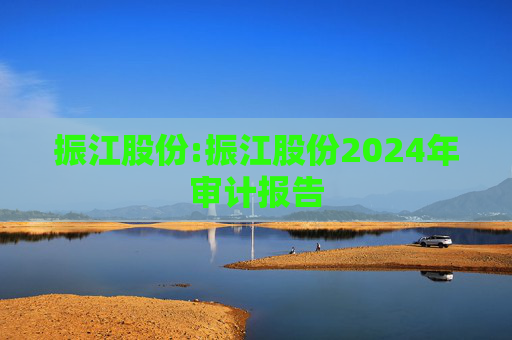 振江股份:振江股份2024年审计报告