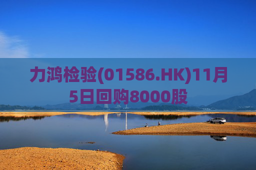 力鸿检验(01586.HK)11月5日回购8000股