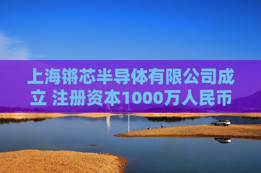 上海锵芯半导体有限公司成立 注册资本1000万人民币  第1张
