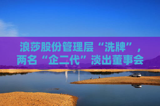 浪莎股份管理层“洗牌”，两名“企二代”淡出董事会