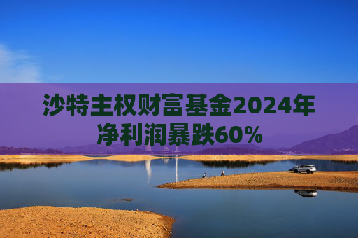 沙特主权财富基金2024年净利润暴跌60%