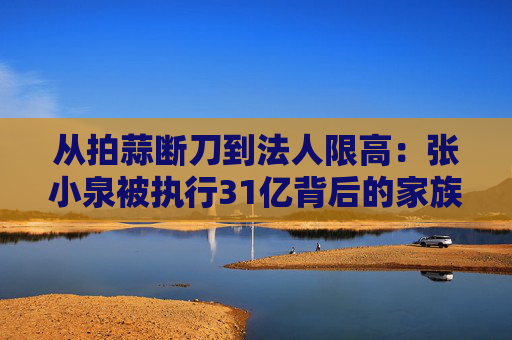 从拍蒜断刀到法人限高:张小泉被执行31亿背后的家族企业治理黑洞 第1张 从拍蒜断刀到法人限高:张小泉被执行31亿背后的家族企业治理黑洞 第1张