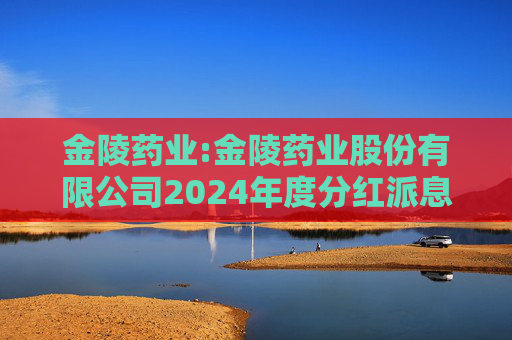 金陵药业:金陵药业股份有限公司2024年度分红派息实施公告