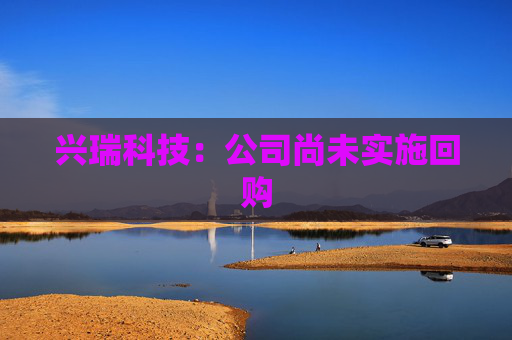 兴瑞科技：公司尚未实施回购