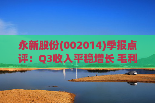 永新股份(002014)季报点评：Q3收入平稳增长 毛利率企稳回升