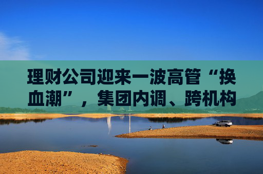 理财公司迎来一波高管“换血潮”,集团内调、跨机构流动成主线 第1张 理财公司迎来一波高管“换血潮”,集团内调、跨机构流动成主线 第1张