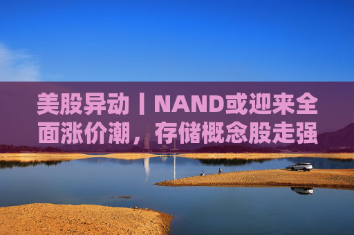 美股异动丨NAND或迎来全面涨价潮，存储概念股走强