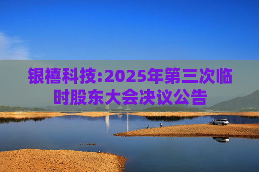 银禧科技:2025年第三次临时股东大会决议公告