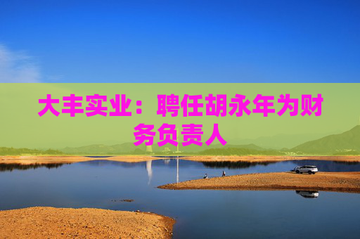 大丰实业：聘任胡永年为财务负责人