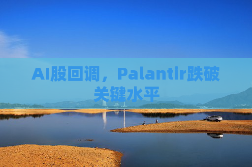 AI股回调,Palantir跌破关键水平