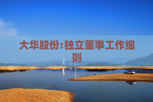 大华股份:独立董事工作细则
