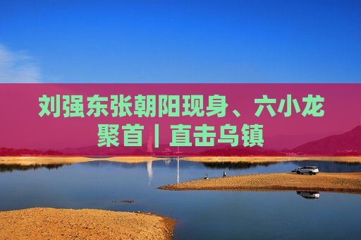 刘强东张朝阳现身、六小龙聚首｜直击乌镇