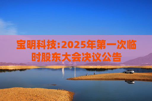 宝明科技:2025年第一次临时股东大会决议公告